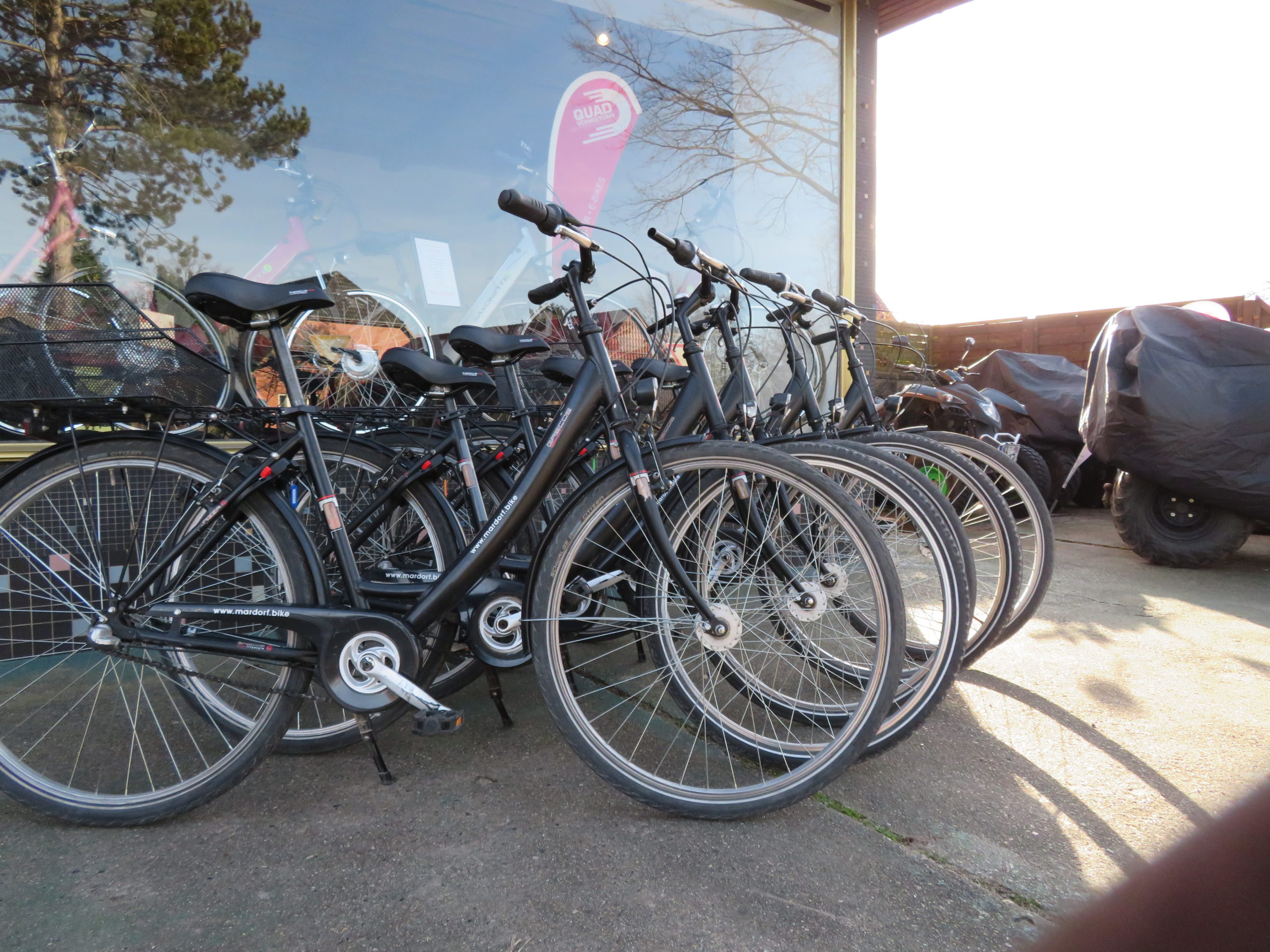 Fahrräder Fahrradverleih am Steinhuder Meer