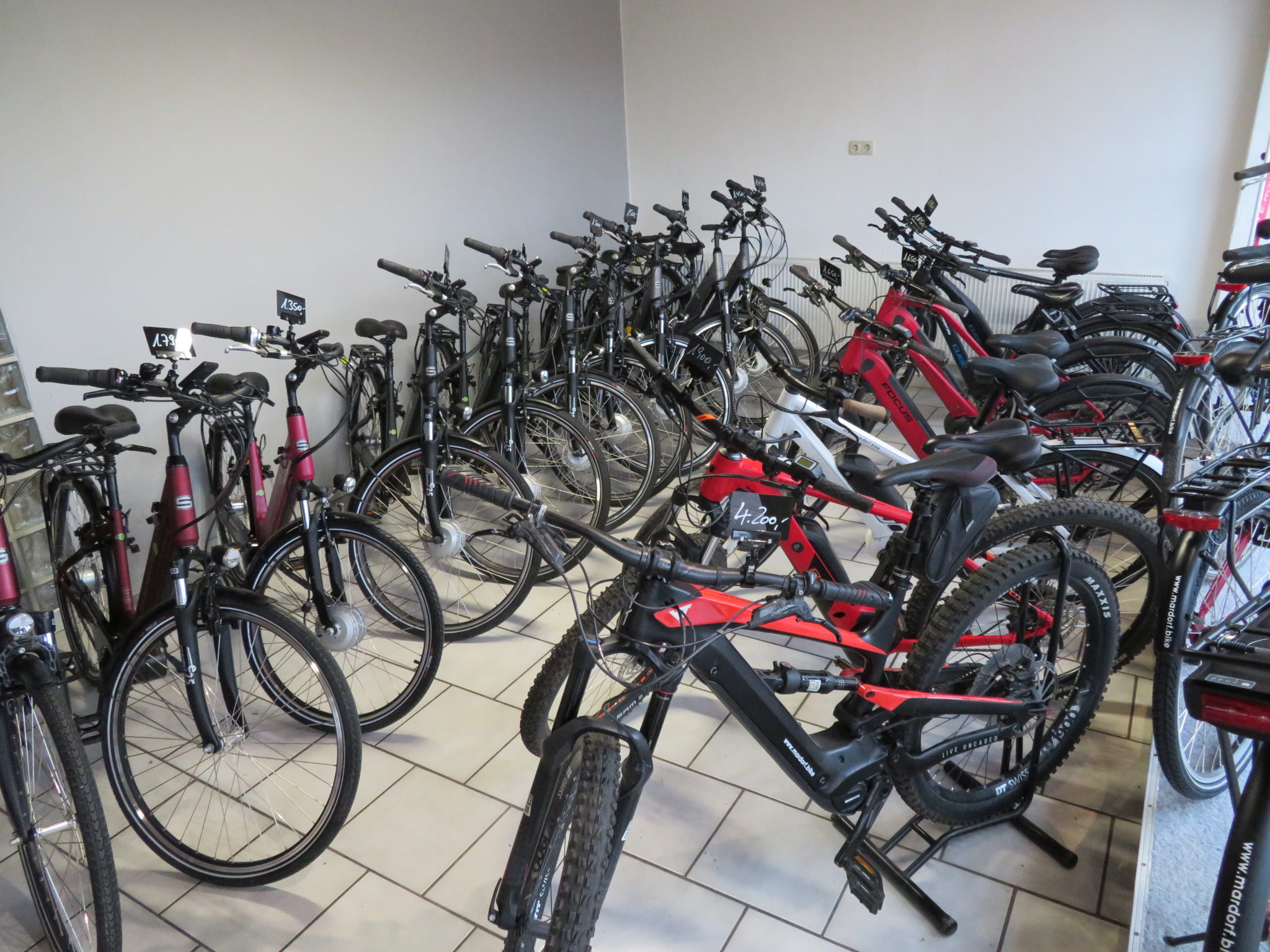 EBikes Fahrradverleih am Steinhuder Meer